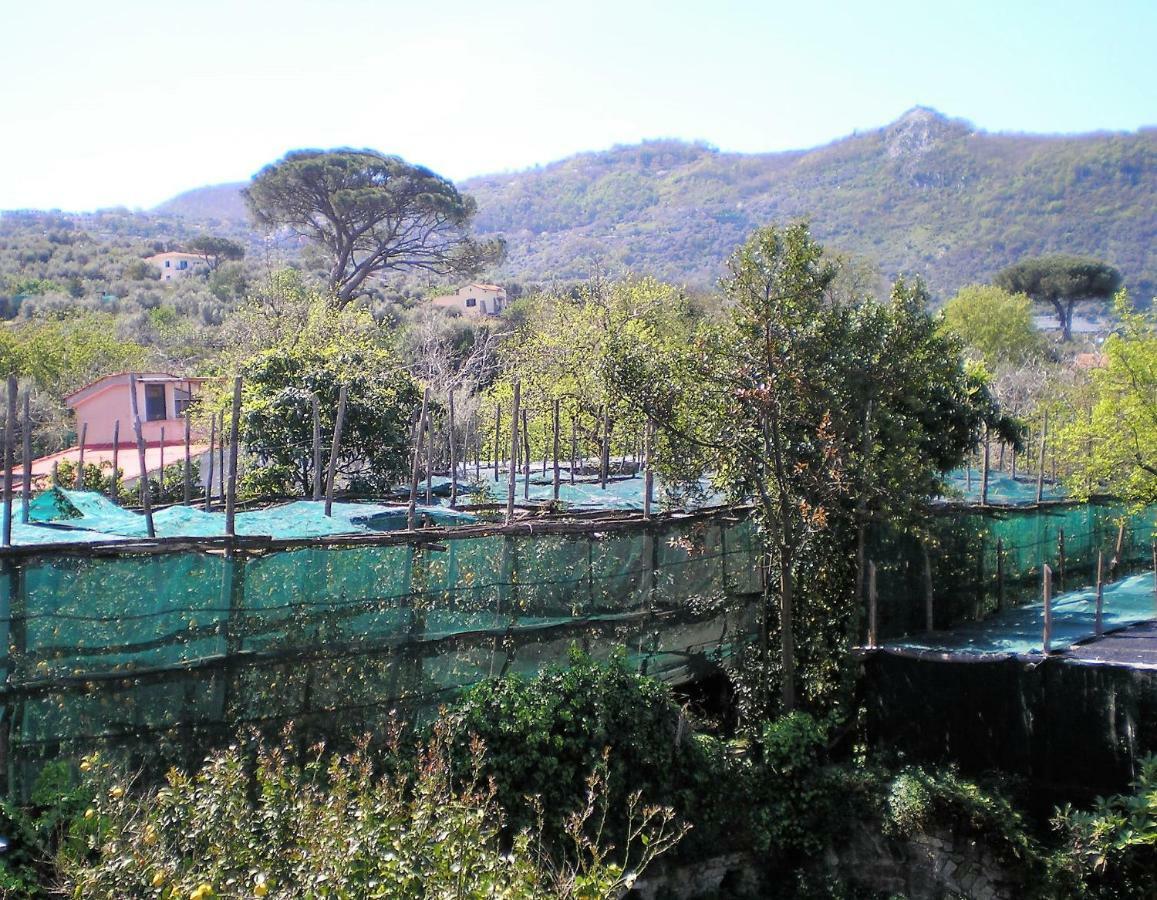 Itaca B&B Πιάνο ντι Σορέντο Εξωτερικό φωτογραφία