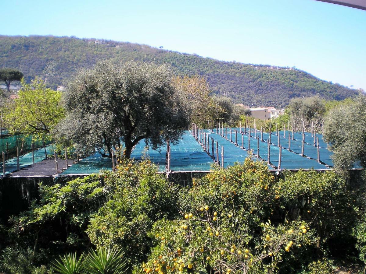 Itaca B&B Πιάνο ντι Σορέντο Εξωτερικό φωτογραφία